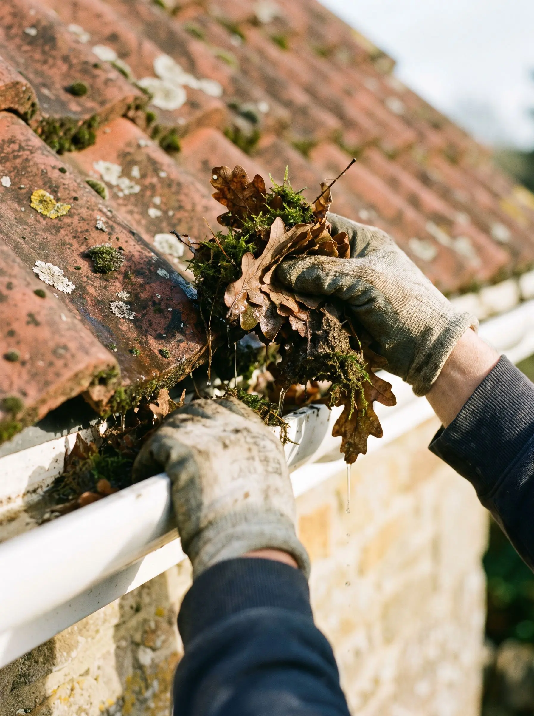 Gloved hands clearing leaves and moss from a white uPVC gutter